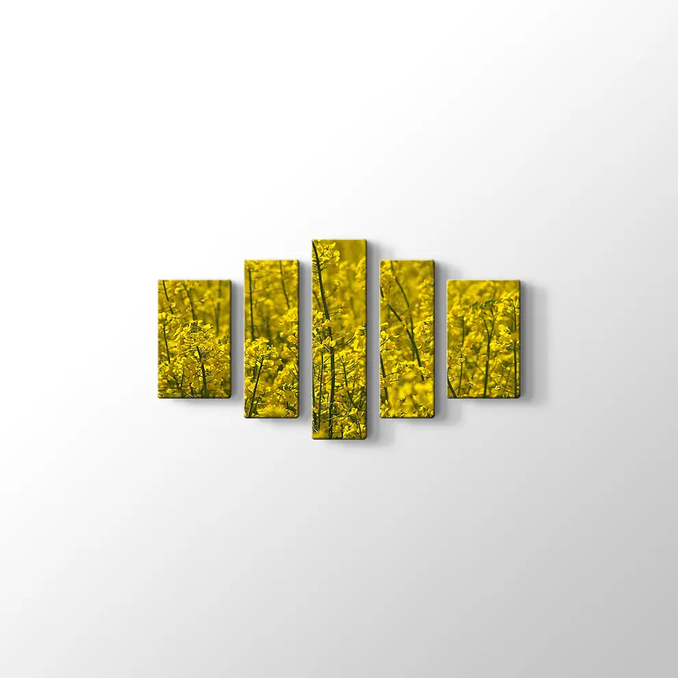 Kanola Tarlaları Kanvas Tablo