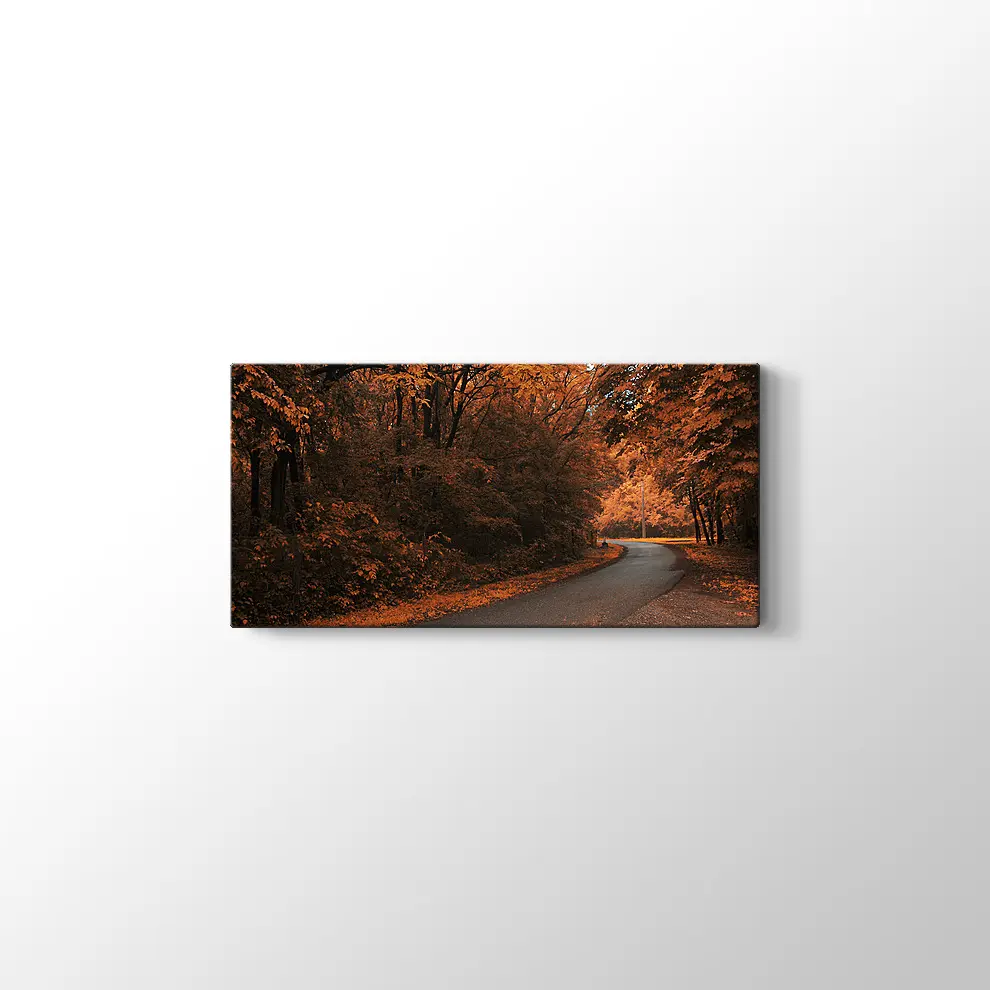 Sonbahar Orman Yolu Kanvas Tablo