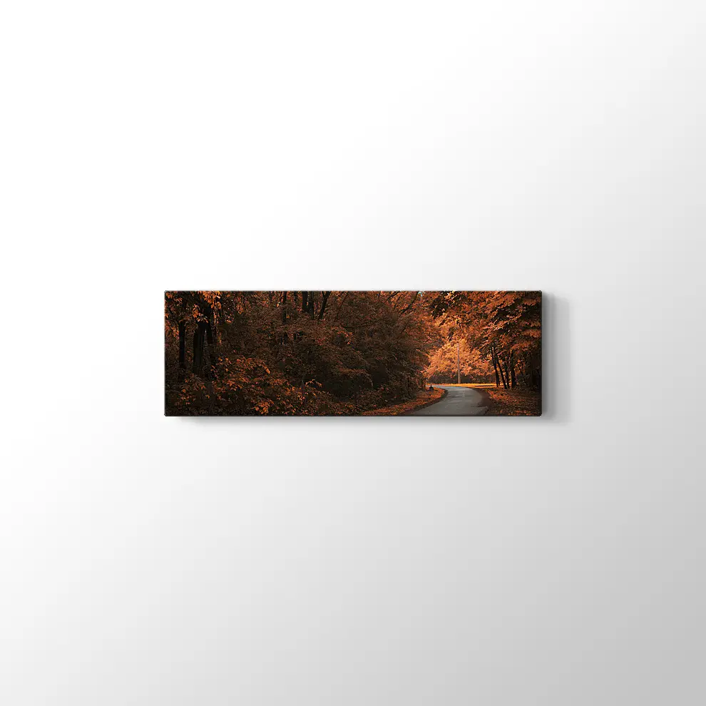 Sonbahar Orman Yolu Kanvas Tablo