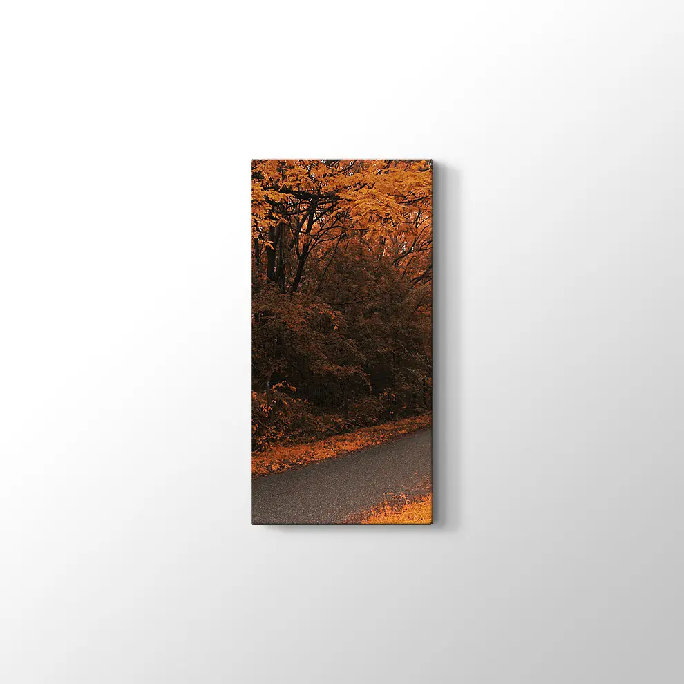 Sonbahar Orman Yolu Kanvas Tablo