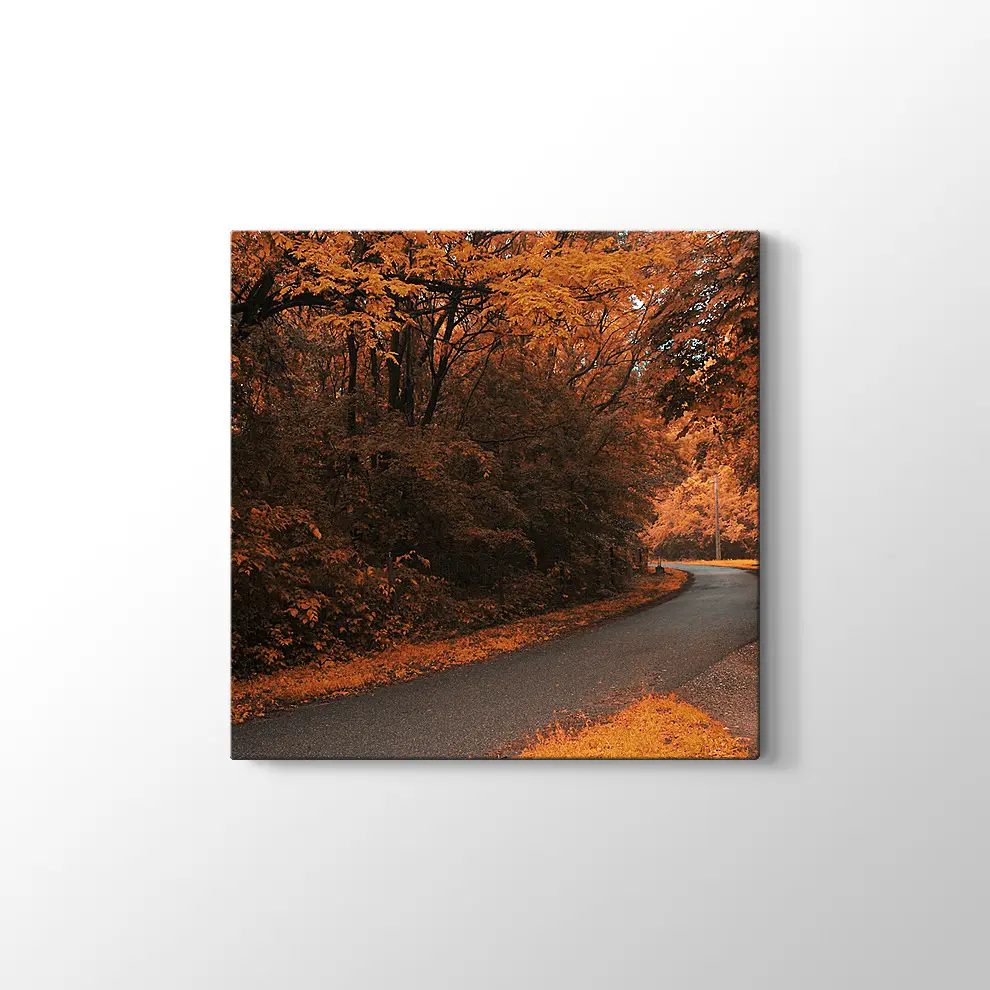 Sonbahar Orman Yolu Kanvas Tablo