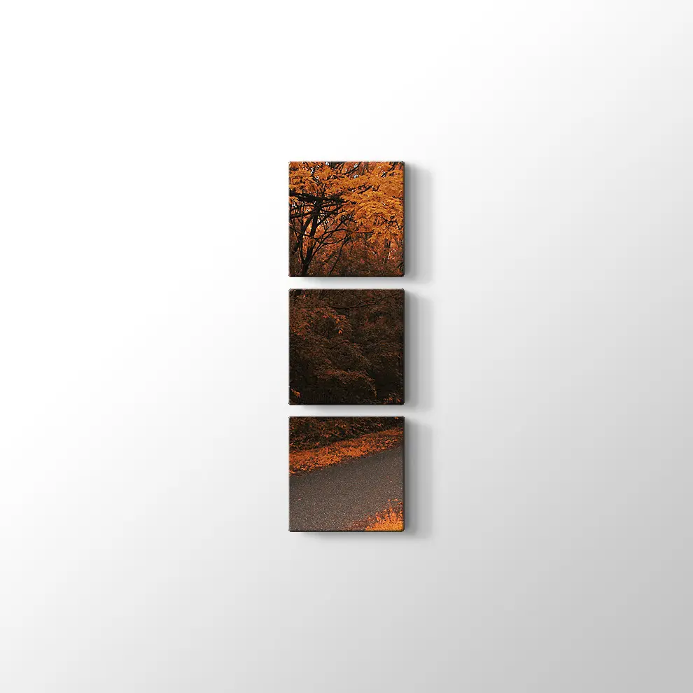 Sonbahar Orman Yolu Kanvas Tablo