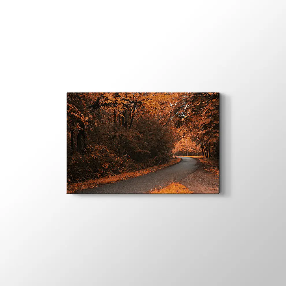 Sonbahar Orman Yolu Kanvas Tablo