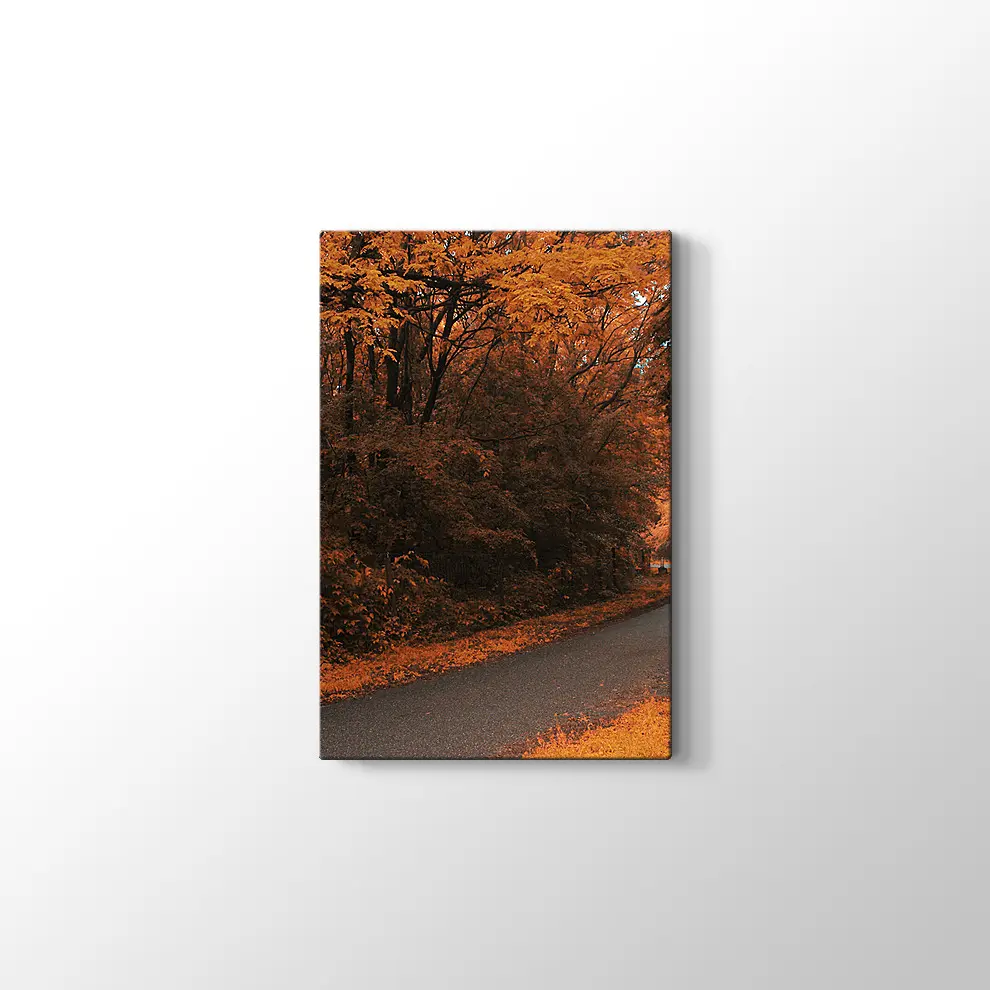 Sonbahar Orman Yolu Kanvas Tablo