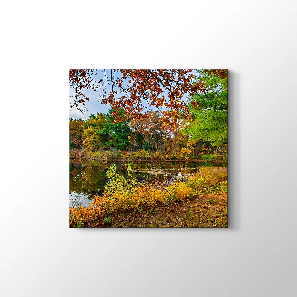 Orman Gölünde Sonbahar Kanvas Tablo