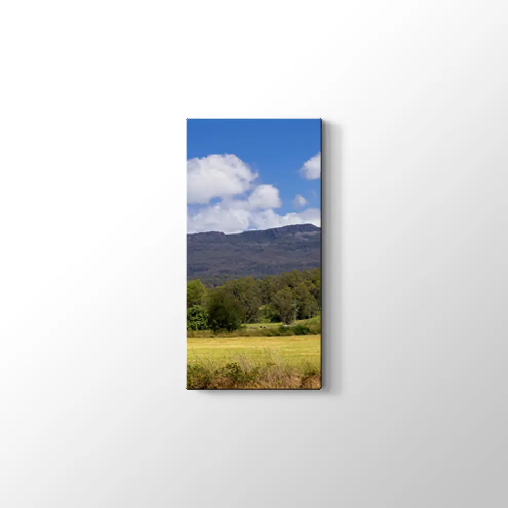 Tazmanya'da Çiftlik Tablosu