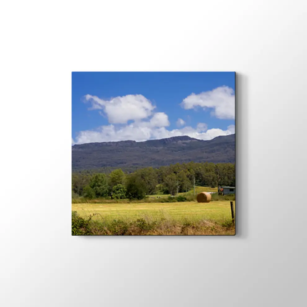 Tazmanya'da Çiftlik Tablosu