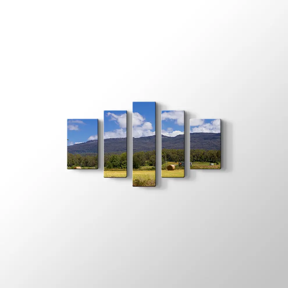 Tazmanya'da Çiftlik Tablosu