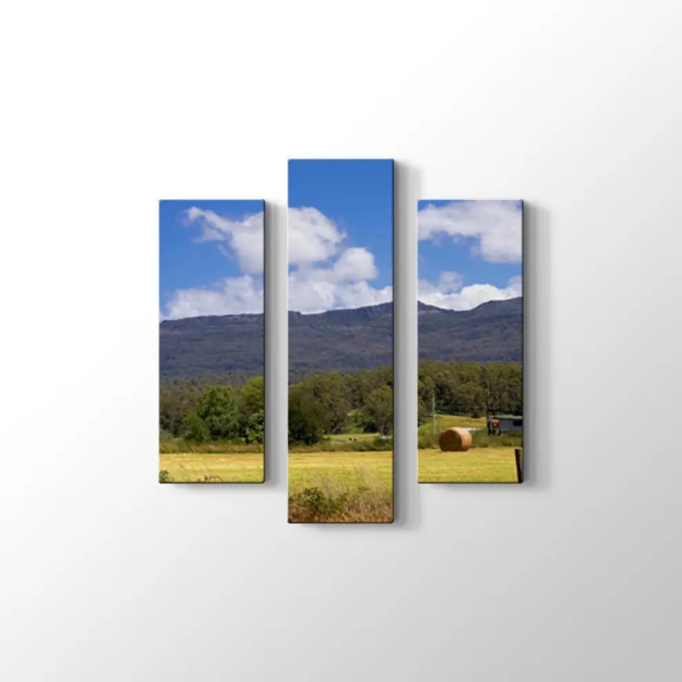 Tazmanya'da Çiftlik Tablosu