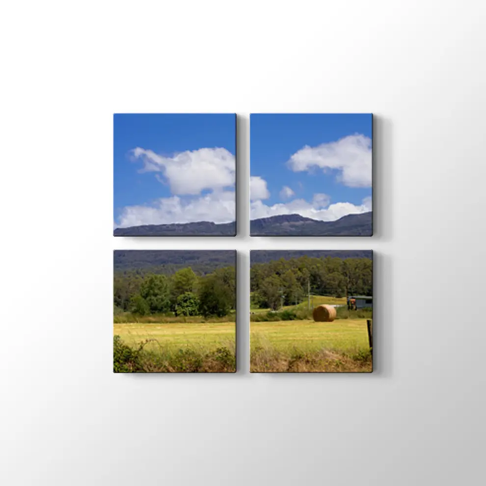 Tazmanya'da Çiftlik Tablosu