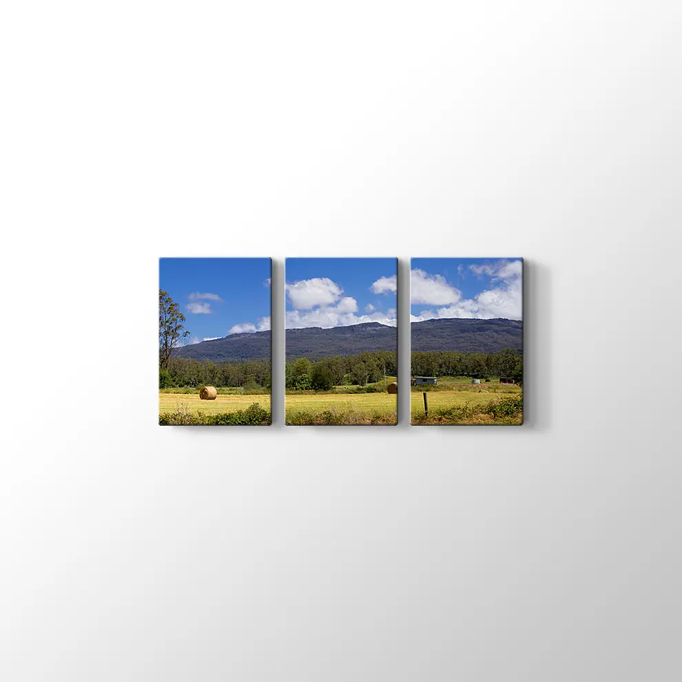 Tazmanya'da Çiftlik Tablosu