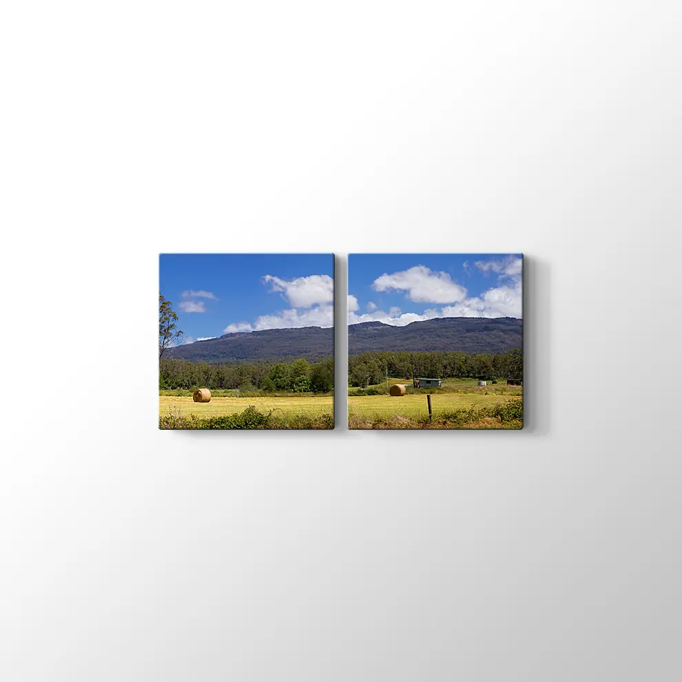 Tazmanya'da Çiftlik Tablosu