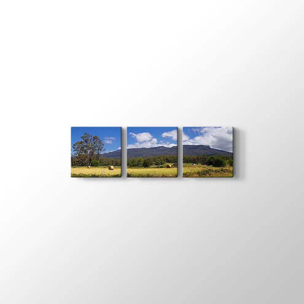 Tazmanya'da Çiftlik Tablosu