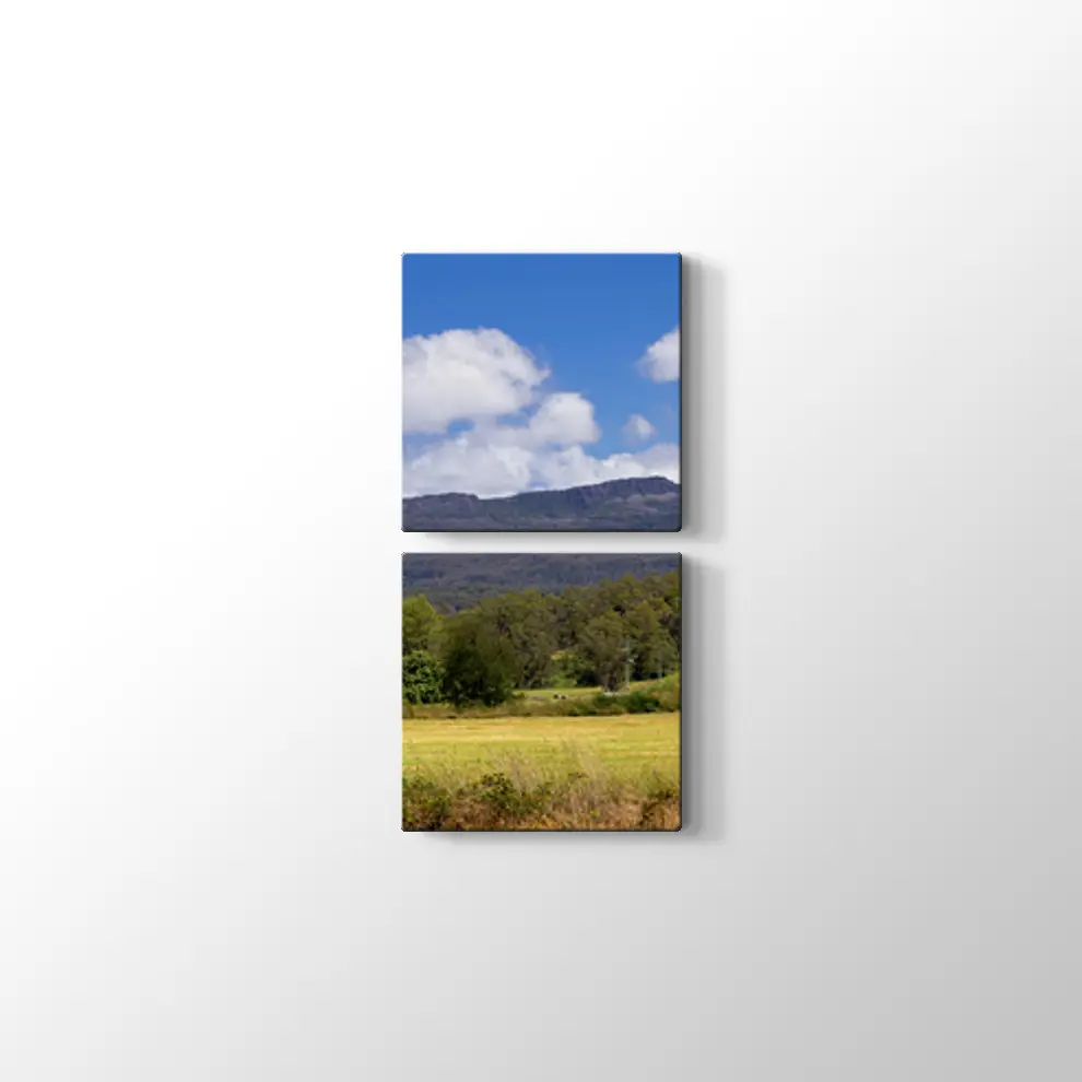 Tazmanya'da Çiftlik Tablosu