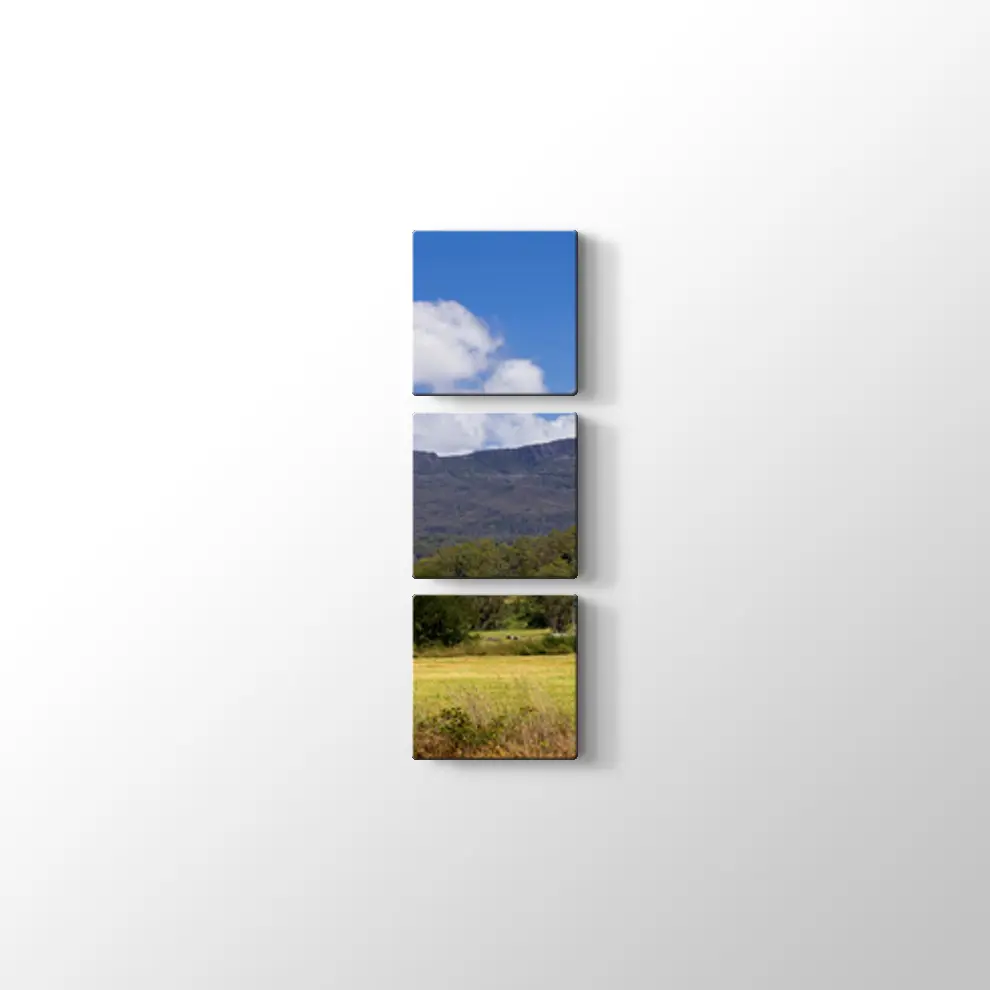 Tazmanya'da Çiftlik Tablosu