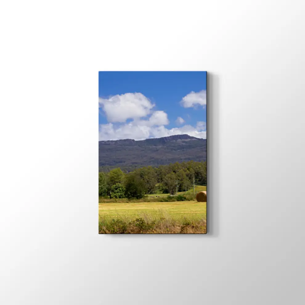 Tazmanya'da Çiftlik Tablosu