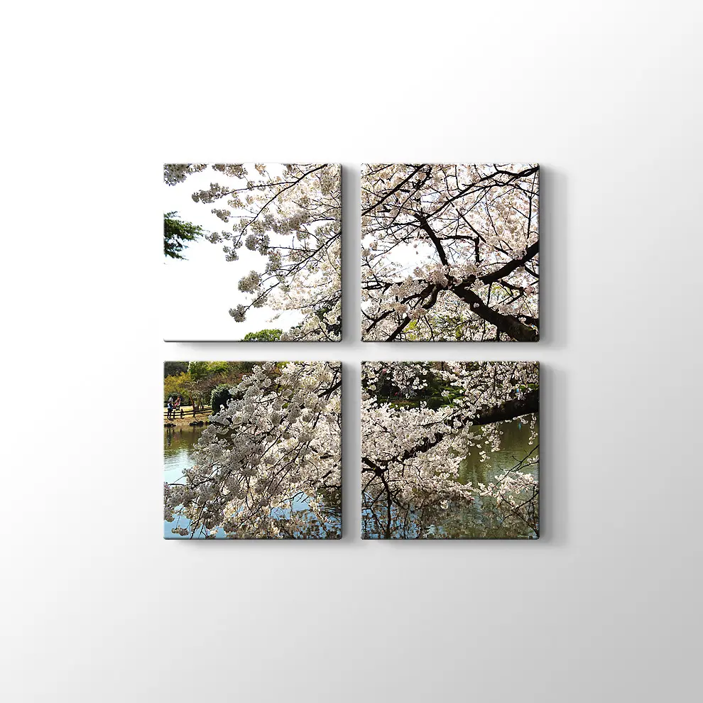 Beyaz Sakura Ağacı Kanvas Tablo