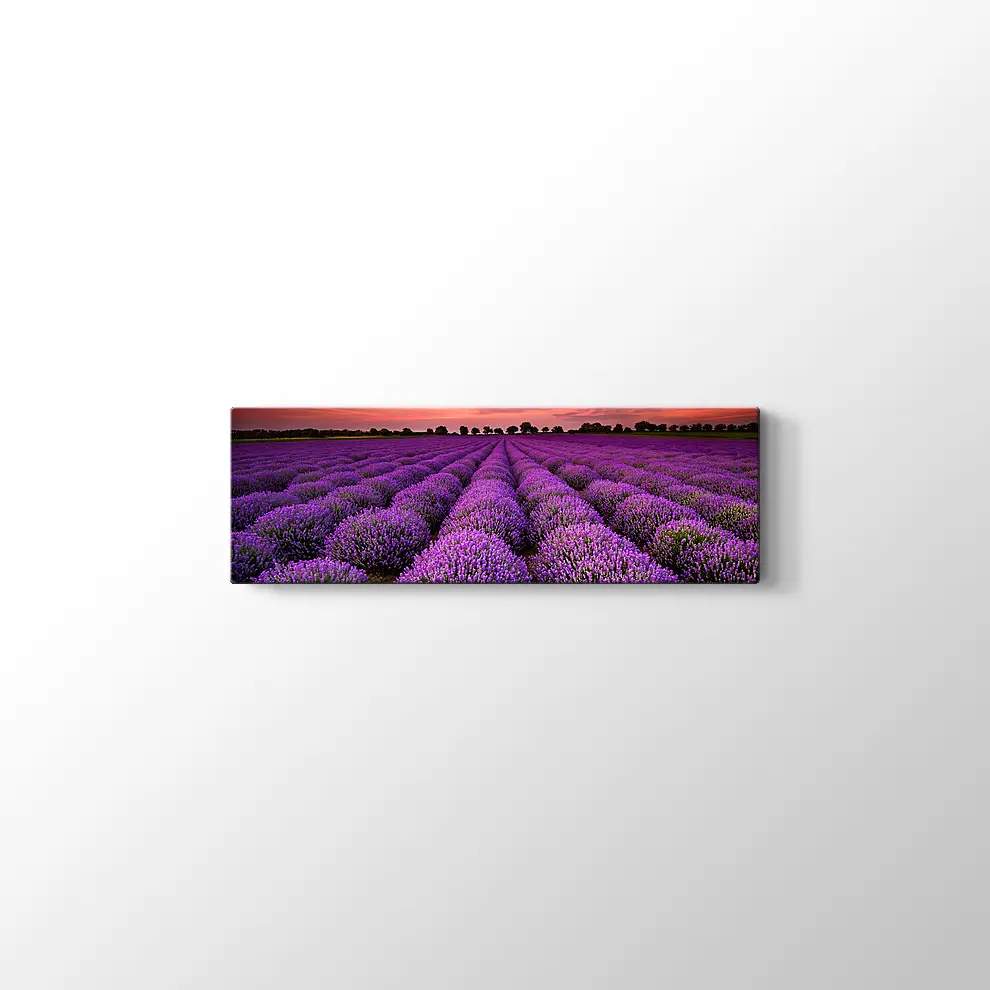 Lavanta Tarlaları Kanvas Tablo