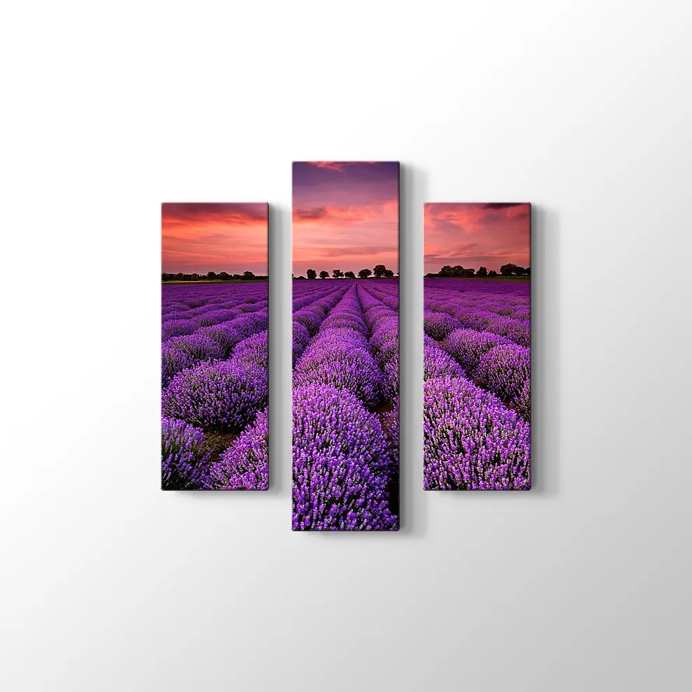 Lavanta Tarlaları Kanvas Tablo