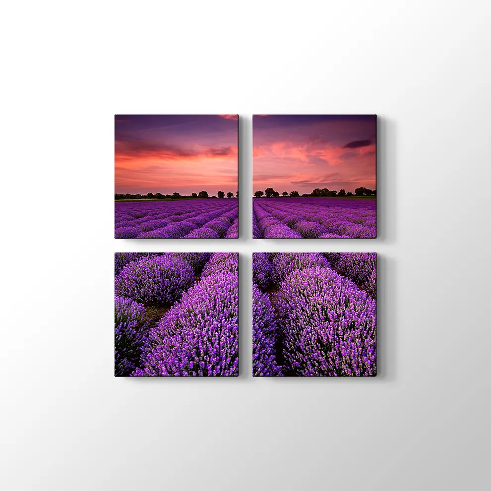 Lavanta Tarlaları Kanvas Tablo