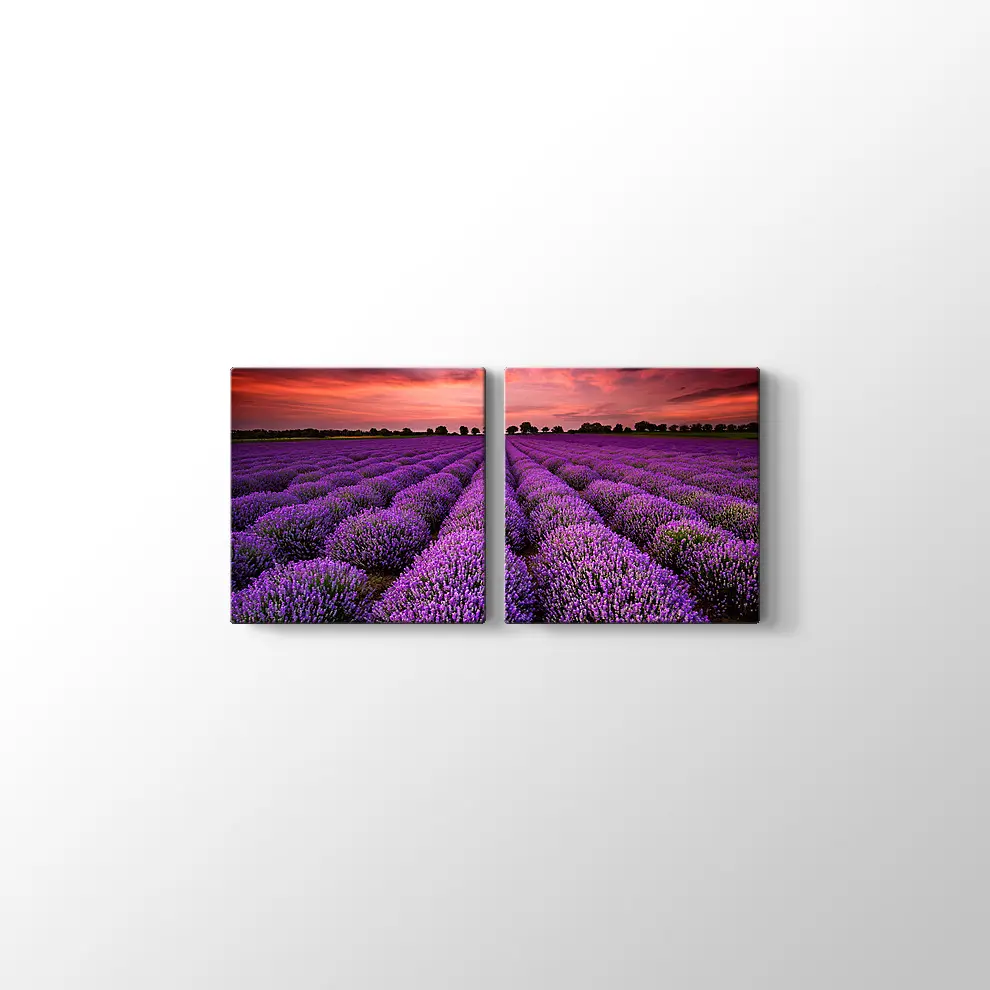 Lavanta Tarlaları Kanvas Tablo