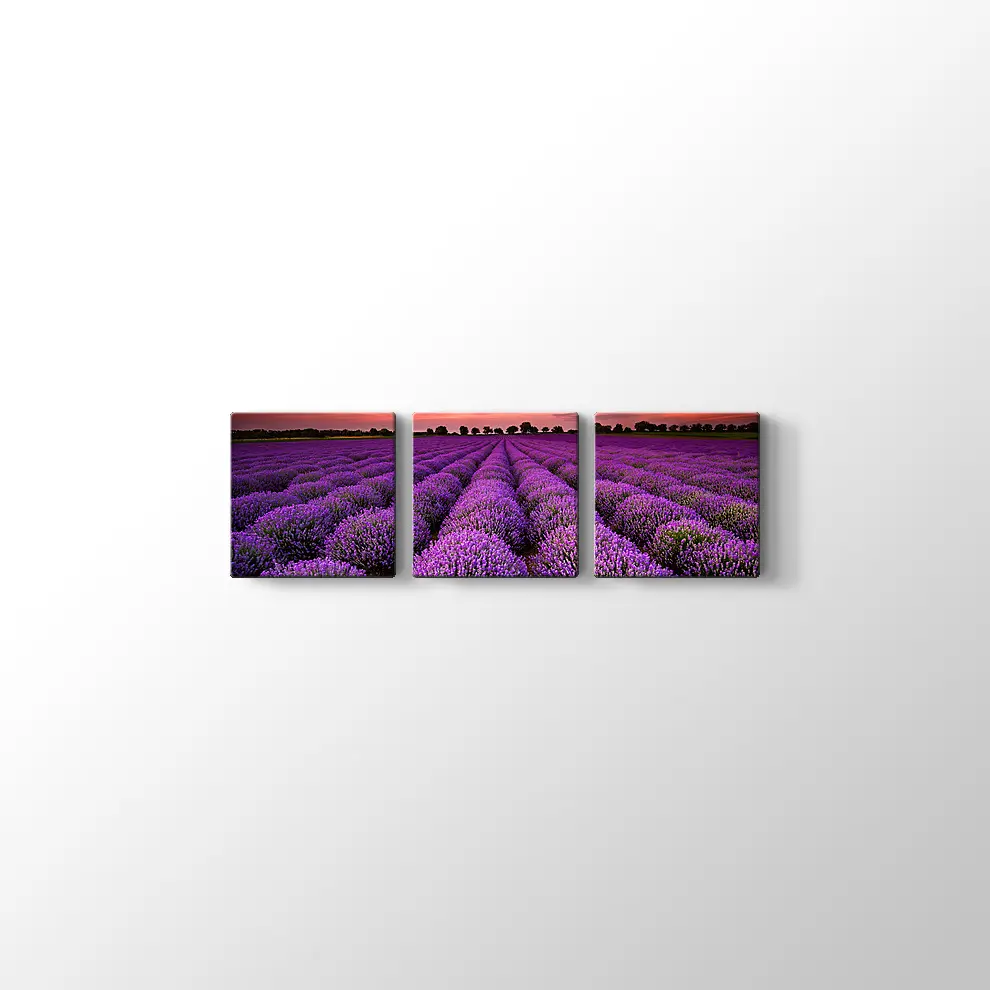 Lavanta Tarlaları Kanvas Tablo