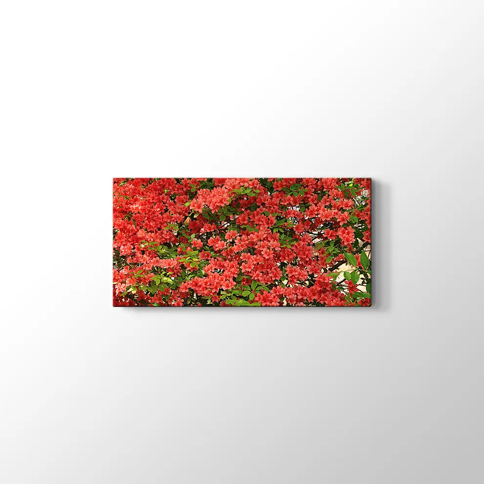 Açelya Görüntüsü Kanvas Tablo