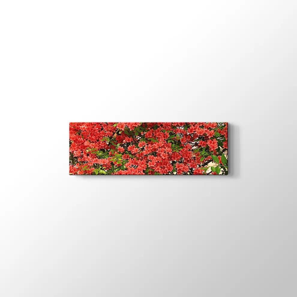 Açelya Görüntüsü Kanvas Tablo