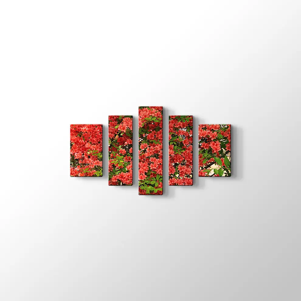 Açelya Görüntüsü Kanvas Tablo