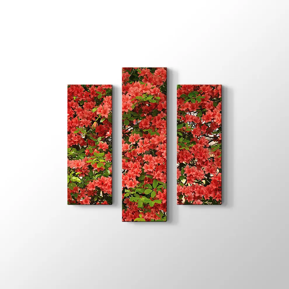 Açelya Görüntüsü Kanvas Tablo