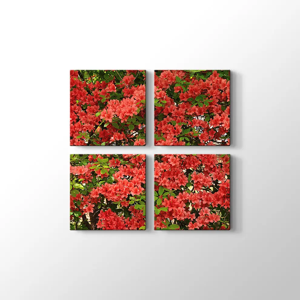 Açelya Görüntüsü Kanvas Tablo