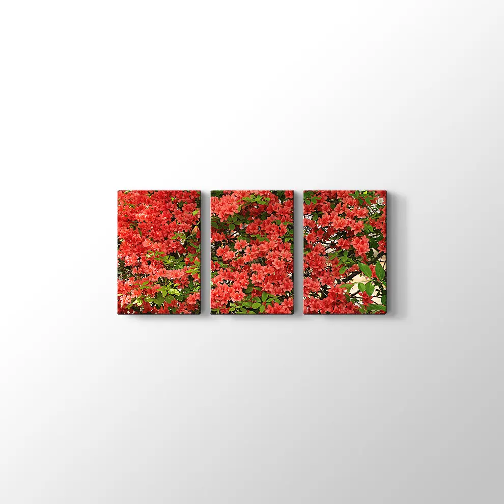 Açelya Görüntüsü Kanvas Tablo