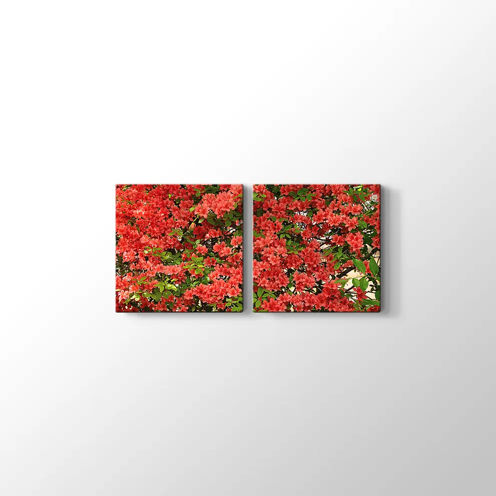 Açelya Görüntüsü Kanvas Tablo