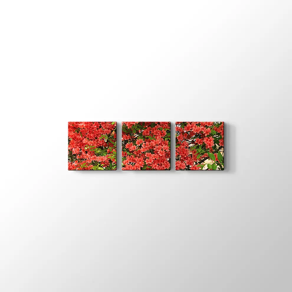 Açelya Görüntüsü Kanvas Tablo