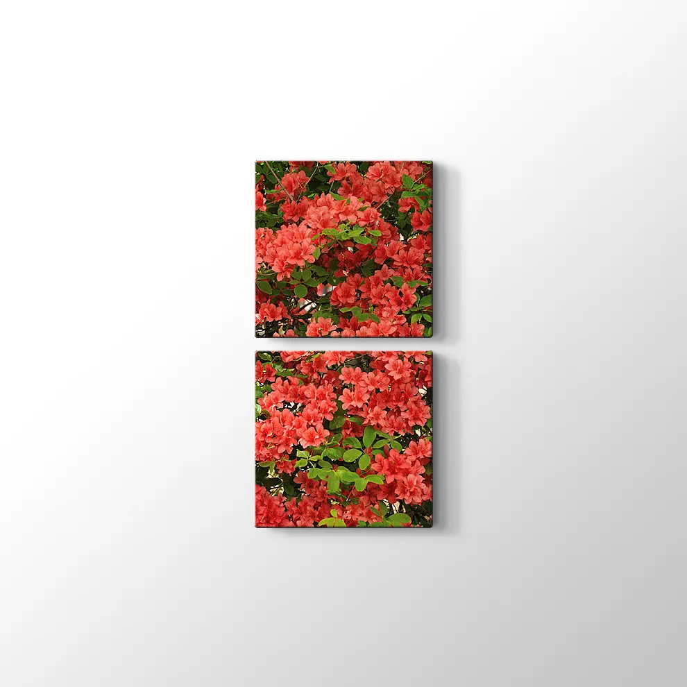 Açelya Görüntüsü Kanvas Tablo