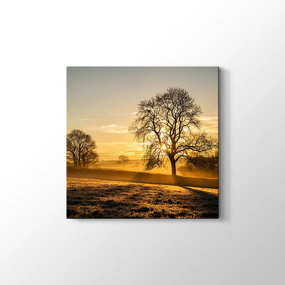 Issız Dağda Günbatımı Kanvas Tablo