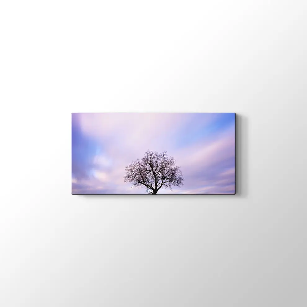 Yanlız Ağaç Kanvas Tablo