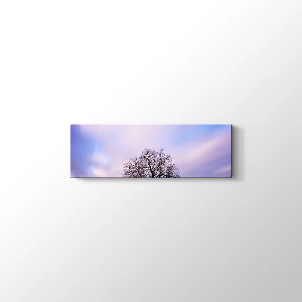 Yanlız Ağaç Kanvas Tablo