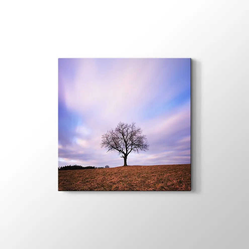 Yanlız Ağaç Kanvas Tablo
