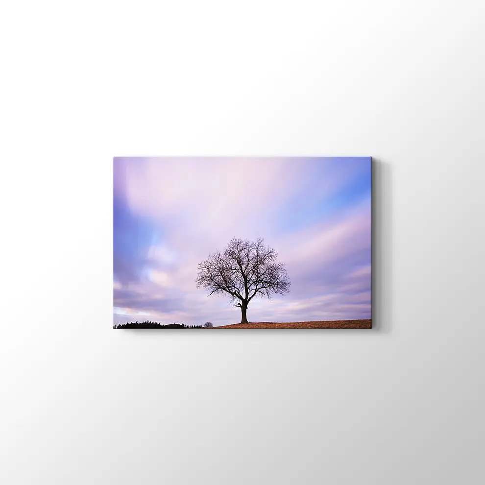 Yanlız Ağaç Kanvas Tablo