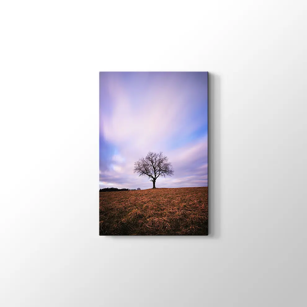 Yanlız Ağaç Kanvas Tablo