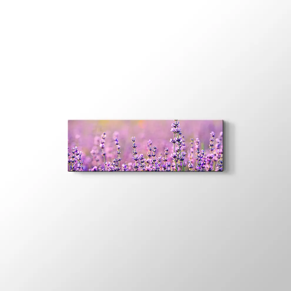 Lavanta Bahçesi Kanvas Tablo