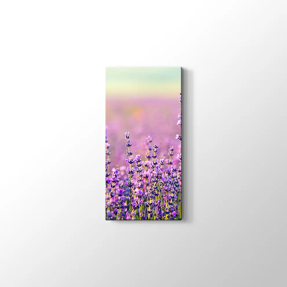 Lavanta Bahçesi Kanvas Tablo