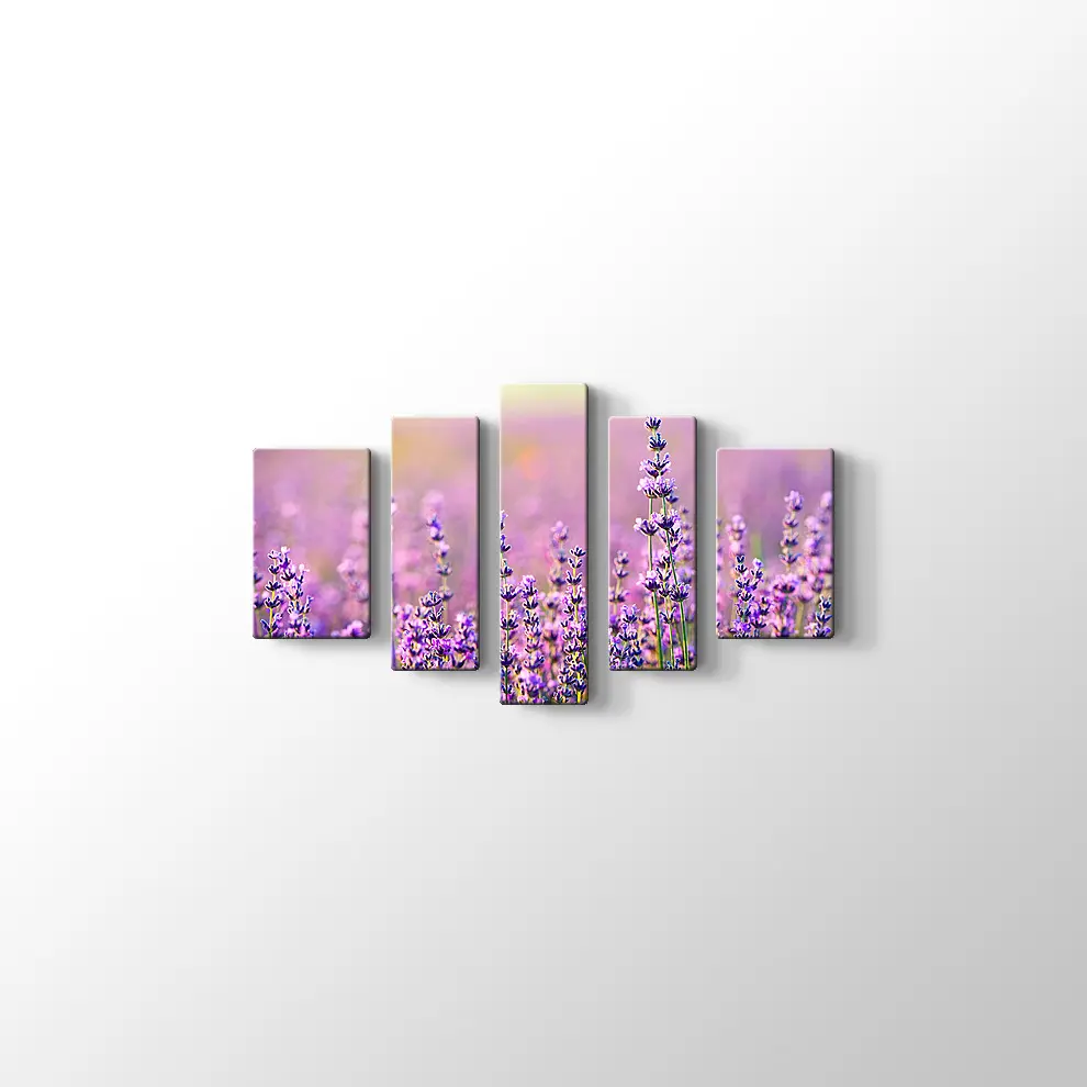 Lavanta Bahçesi Kanvas Tablo