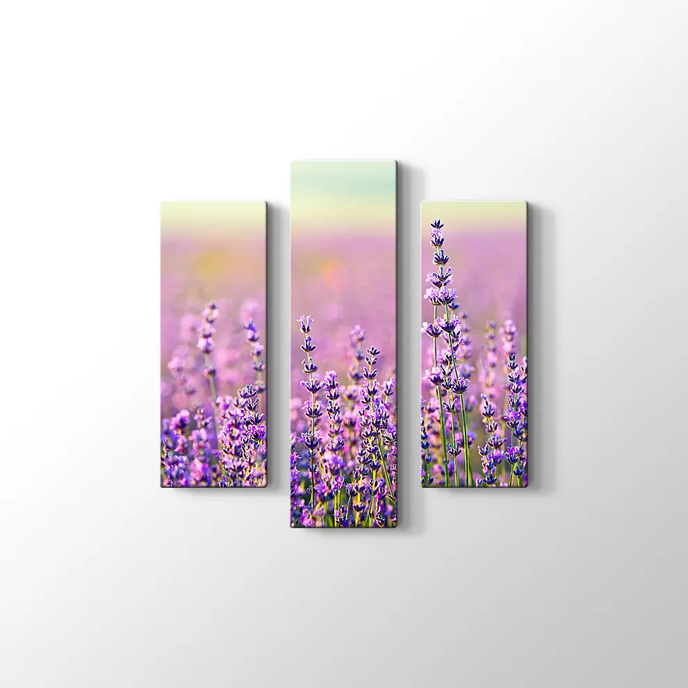 Lavanta Bahçesi Kanvas Tablo