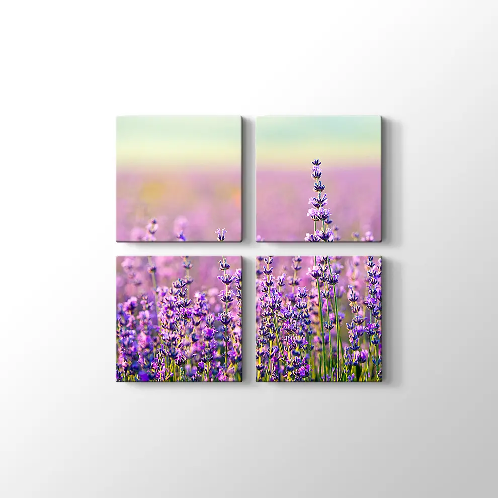 Lavanta Bahçesi Kanvas Tablo