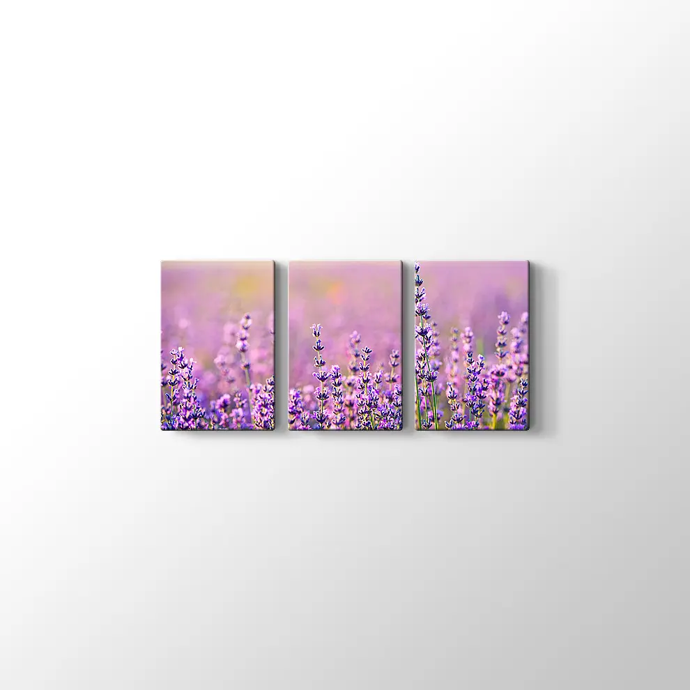 Lavanta Bahçesi Kanvas Tablo