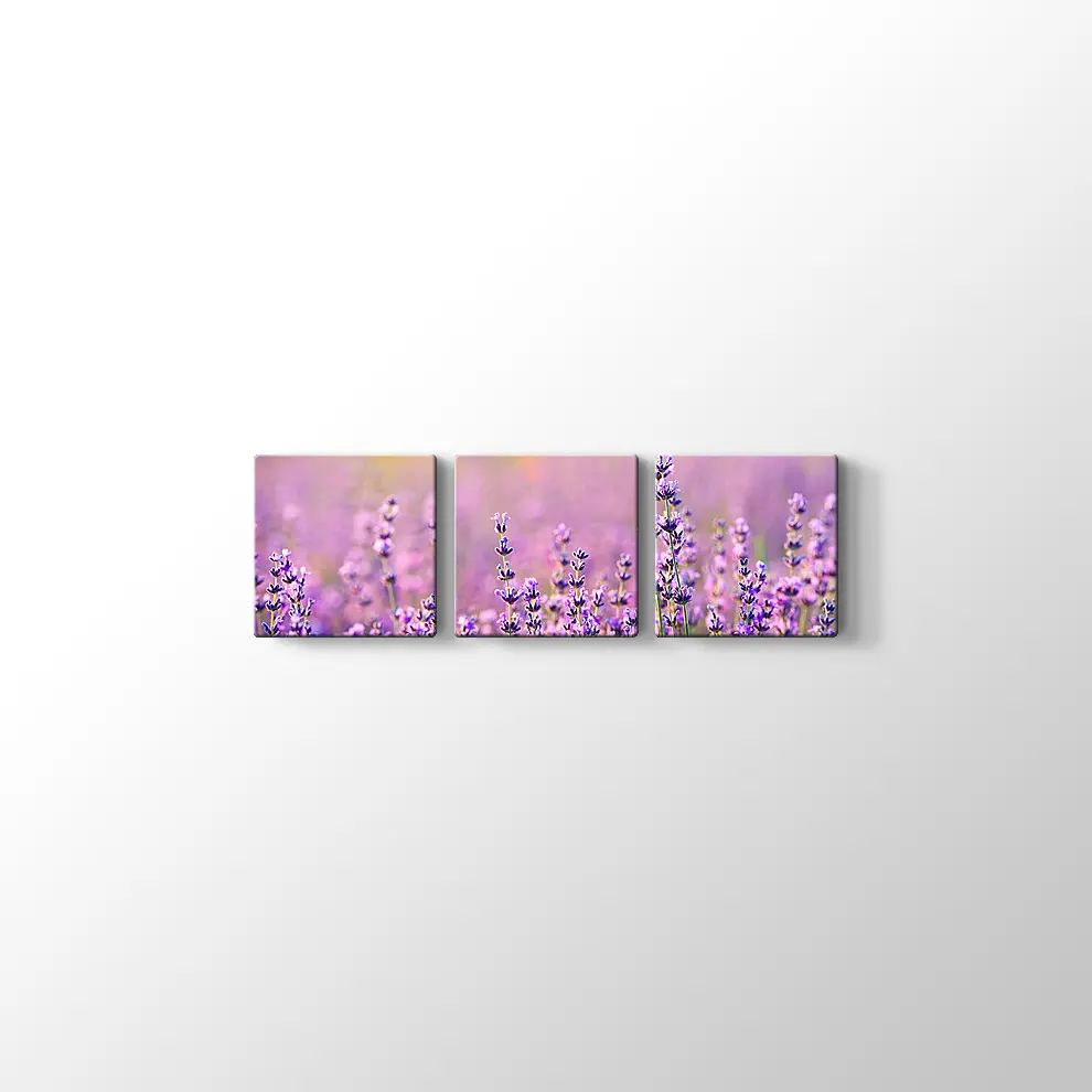 Lavanta Bahçesi Kanvas Tablo