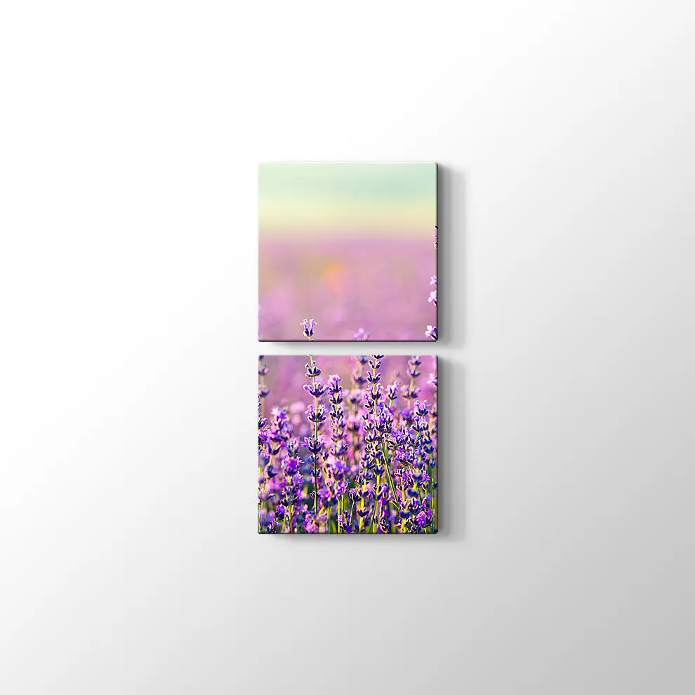 Lavanta Bahçesi Kanvas Tablo