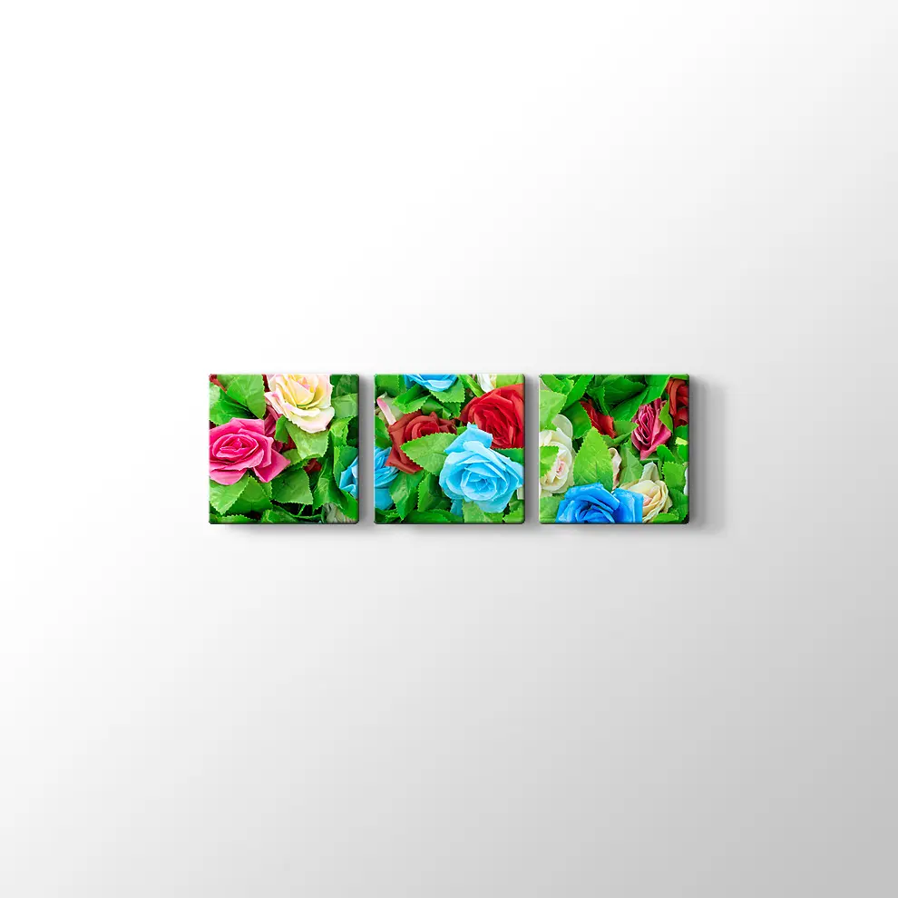 Renkli Güller Kanvas Tablo
